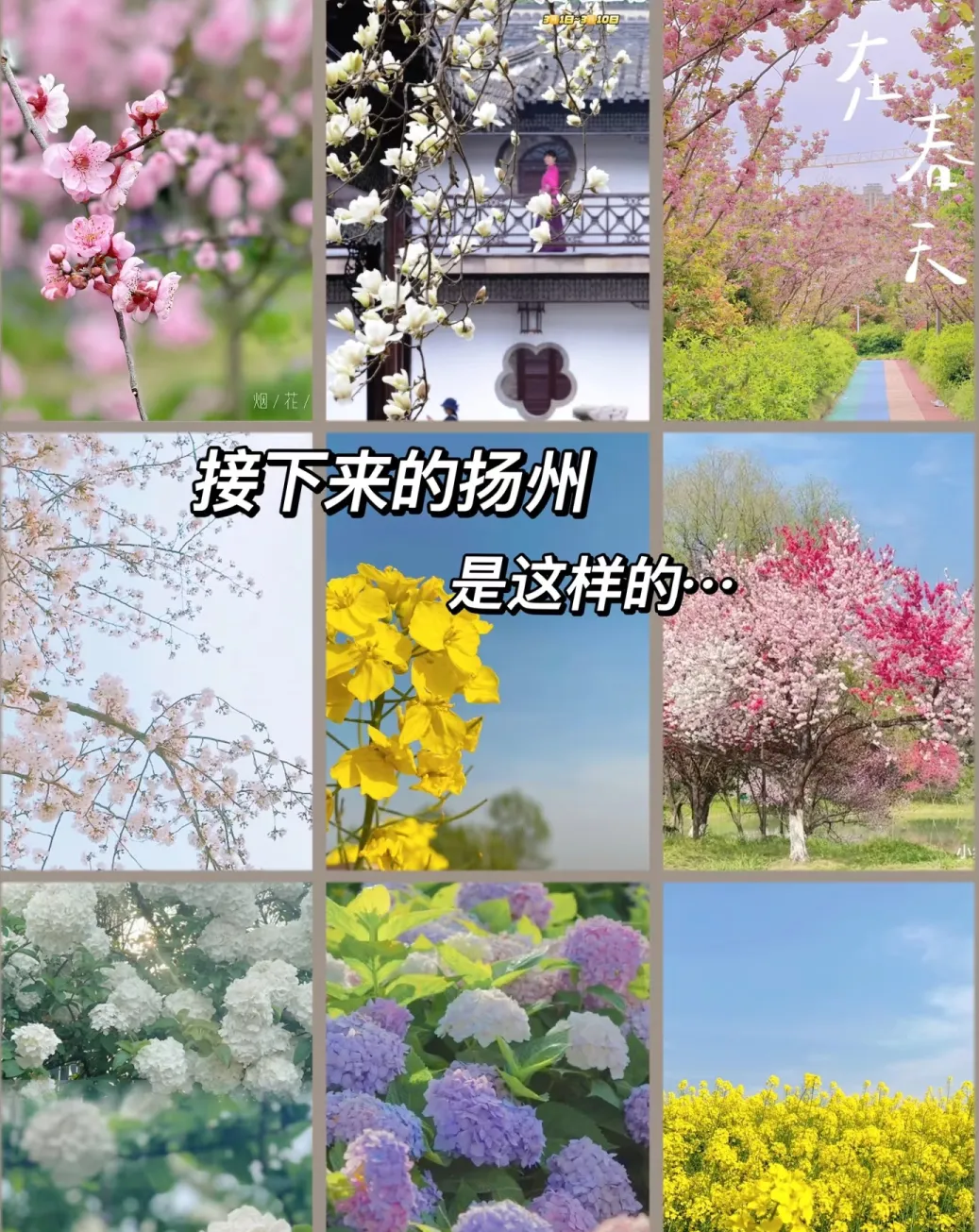 e7031ad09f7defdbd957616890329cfa-sz_782887