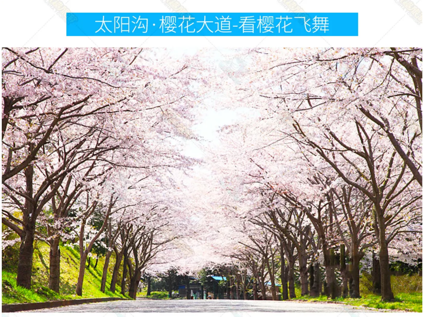 f5297b60f45f5cbe6e3ee59593dfbaf5