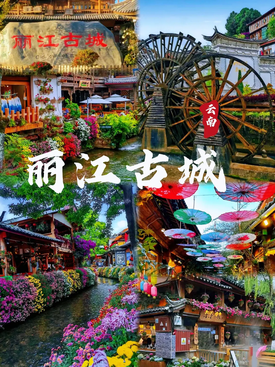 0046abd7328ce8df54619c59b0129854-sz_1083269 0046abd7328ce8df54619c59b0129854-sz_1083269