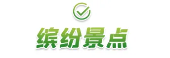 0e1c3aca7bd9803327bcac922ac89849-sz_28809