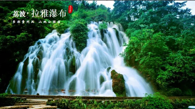 103a3f4650e4aaaa8e3f5992d312d228-sz_503901-1