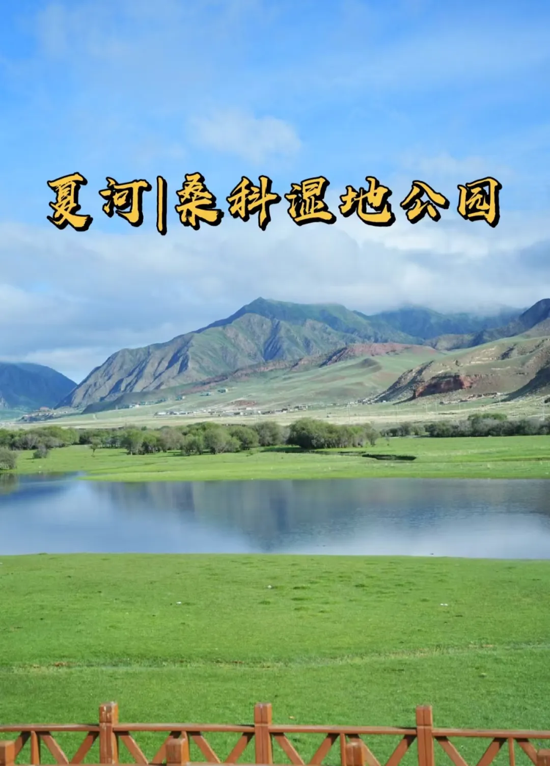 1208ce3d5fea663668a10b35fd6e7a1e-sz_530252