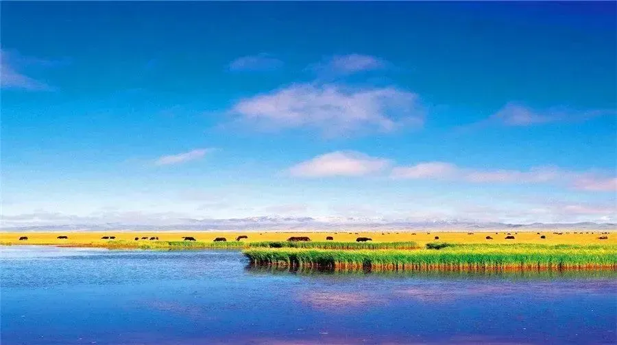 170195c884b35af2b417c47661e9b2de-sz_57169