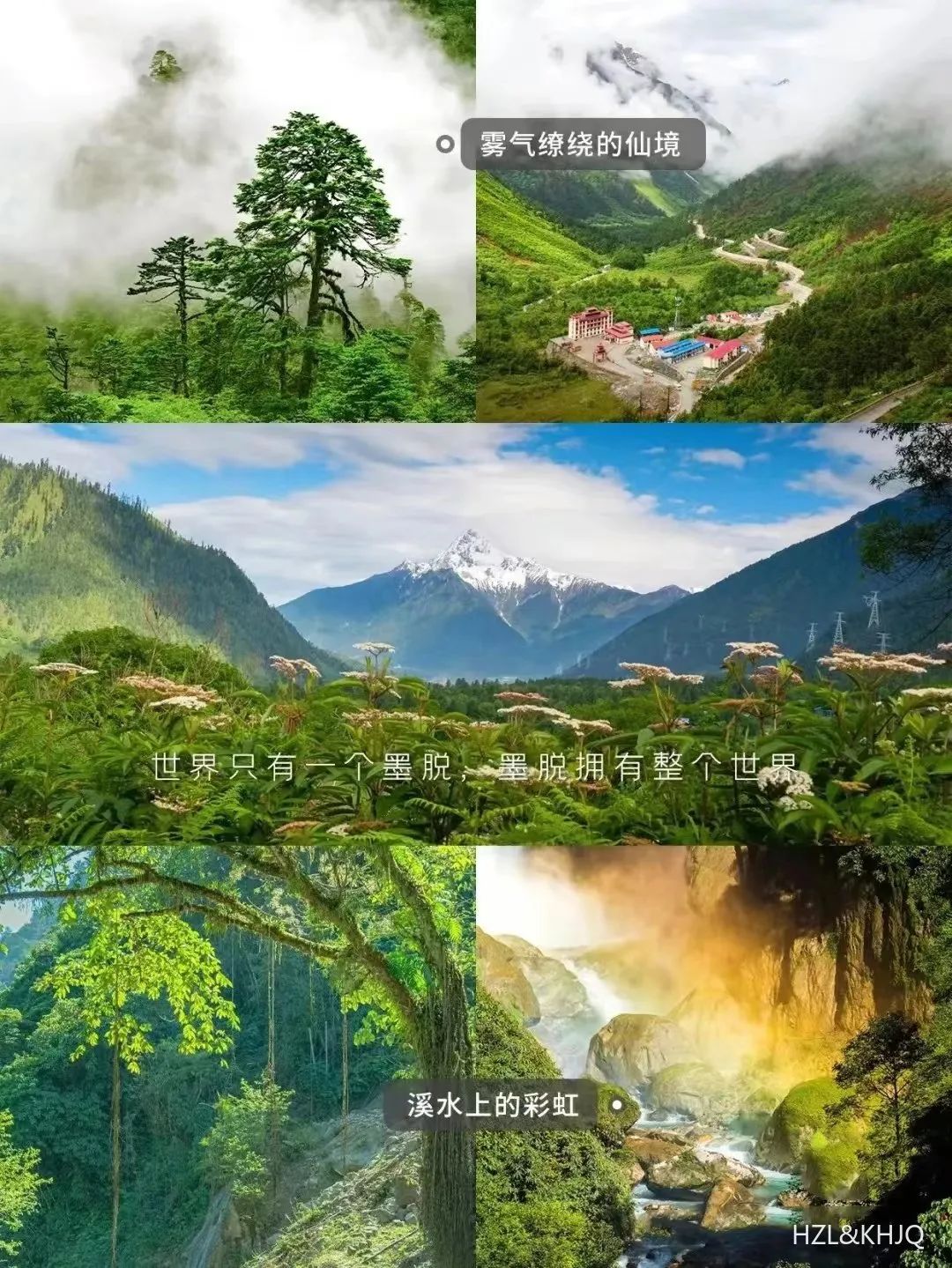 1719297236_1836711676