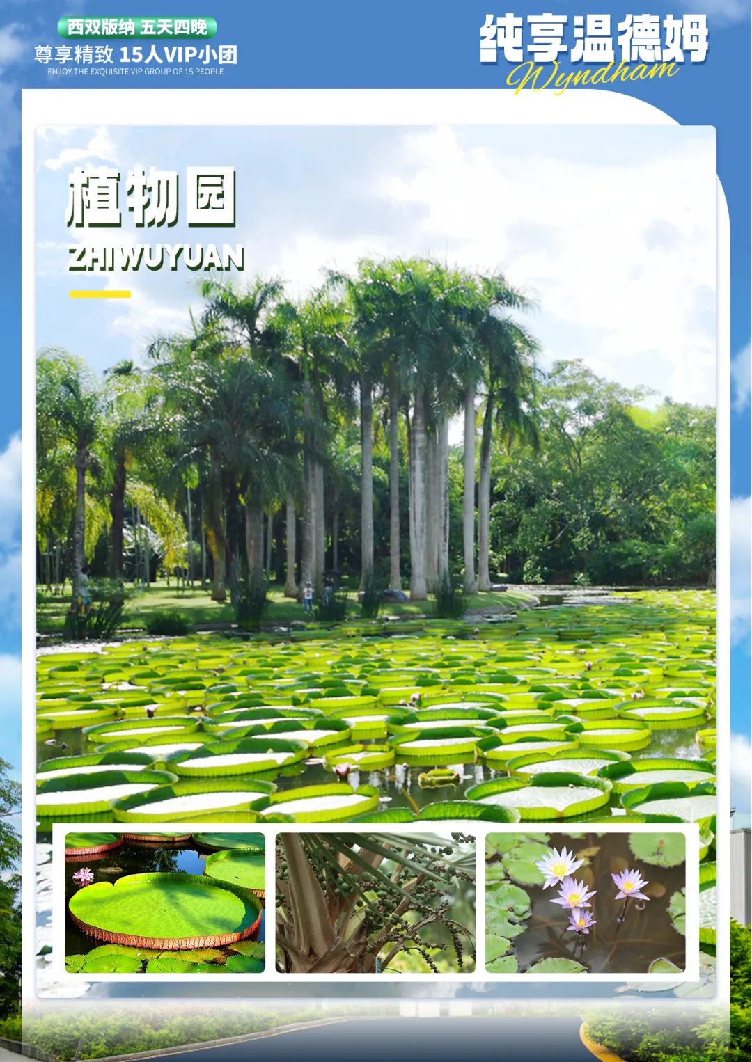 20c829b75fb687e5b90765dde96de70a-sz_8722705