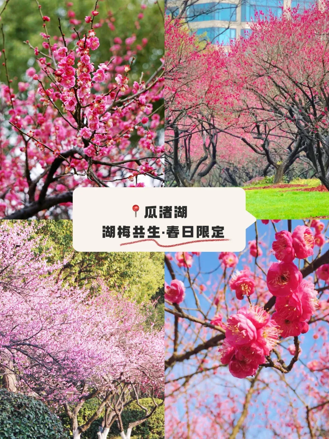 22e12d8c553ff3cc4d74fd9e5b7b7186-sz_4042966 22e12d8c553ff3cc4d74fd9e5b7b7186-sz_4042966