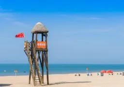 2cb56b373314661c4d5dc879d4edf085-sz_9214-1