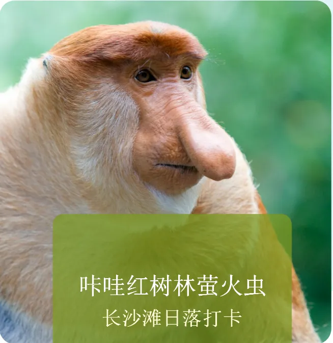 35be06d0dfd06e9d49eb62cc021c9c94-sz_984295 35be06d0dfd06e9d49eb62cc021c9c94-sz_984295