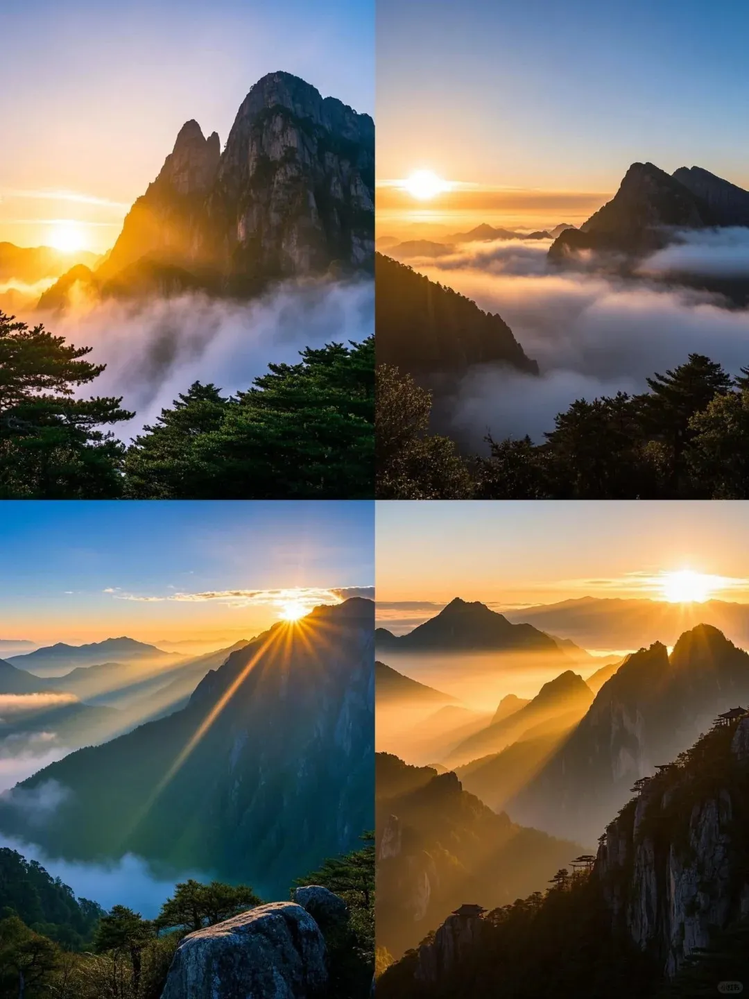 45630f3af4b696e2e187b0f5d803c186-sz_265629 45630f3af4b696e2e187b0f5d803c186-sz_265629