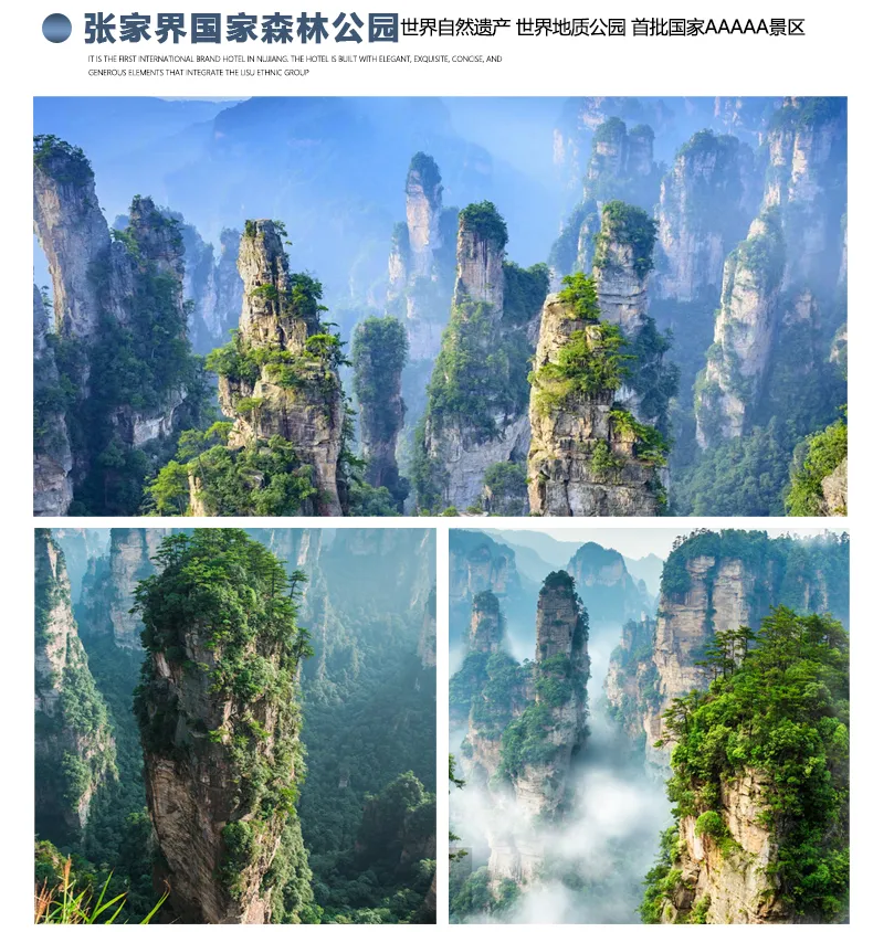 58b37772fa491afddb218d01f8020d26-sz_636679
