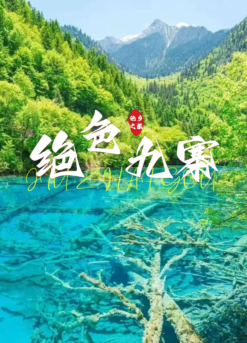 6c8818ccd520166518d8d05c0bb3e99f-sz_2098798
