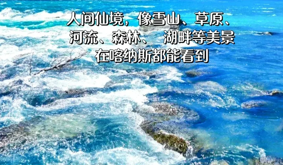 6dbf445b307042753bd860a9dd649e2f-sz_498284-1