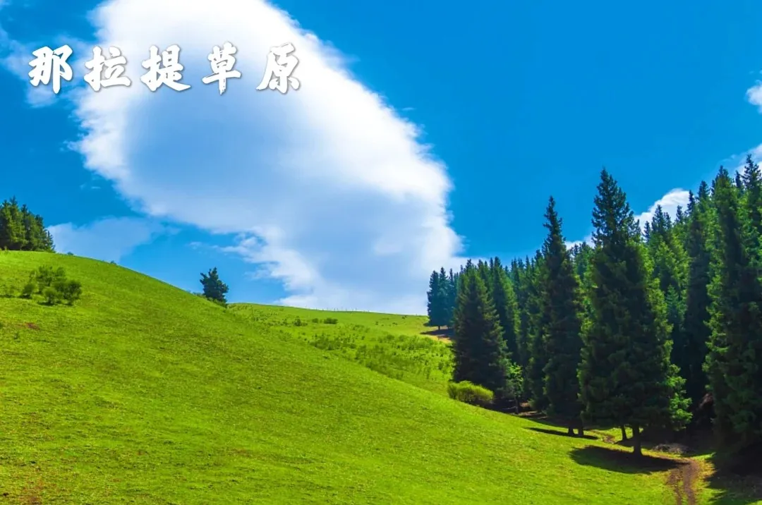 7b1fb7ee70f517c9c966822030c6a27e-sz_436030-1