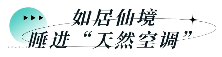 7e3e8d213da01bd0cc30b47fb44f121d-sz_62156