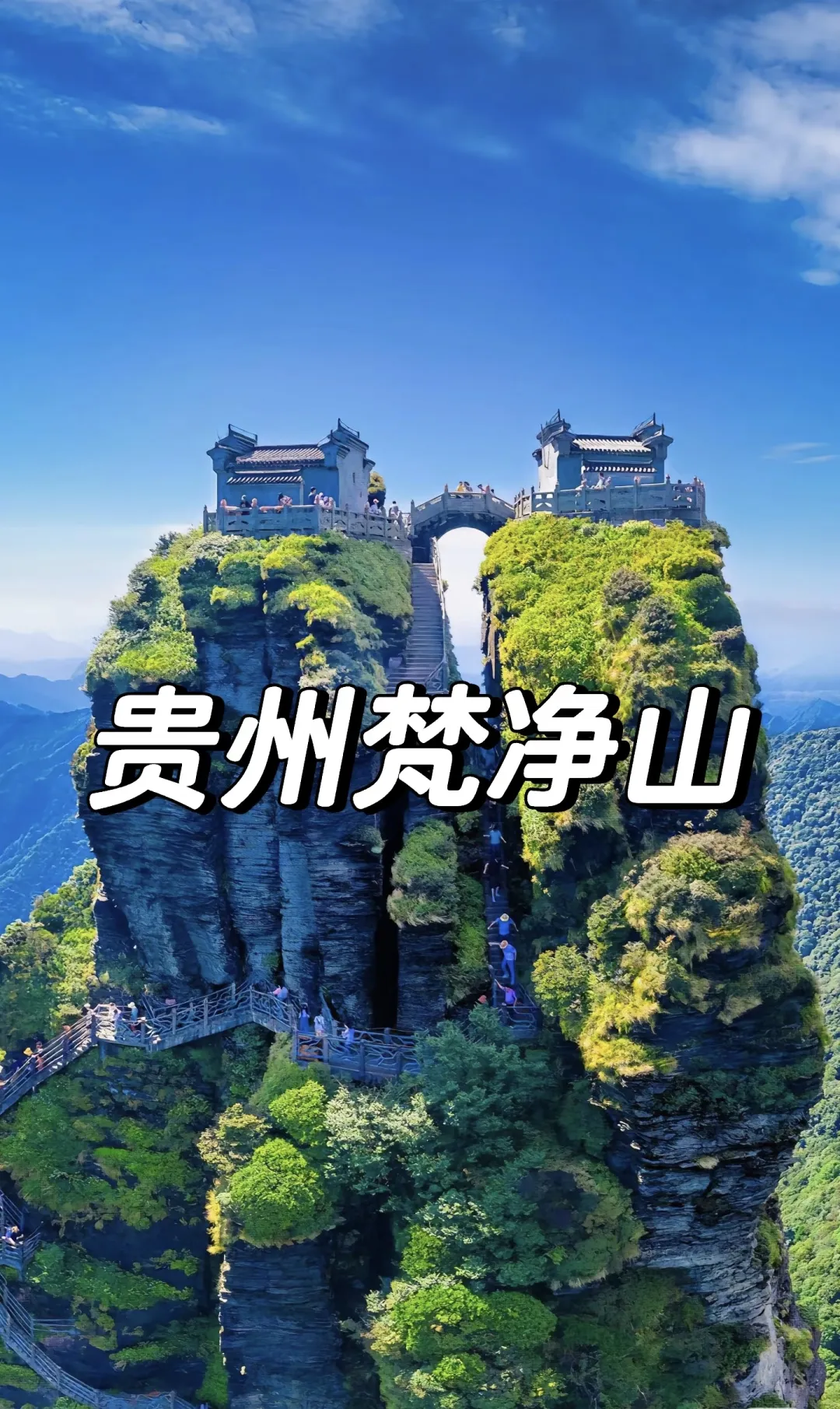 8db3ef1315df66b01fe515ee1b203334-sz_1119101-2