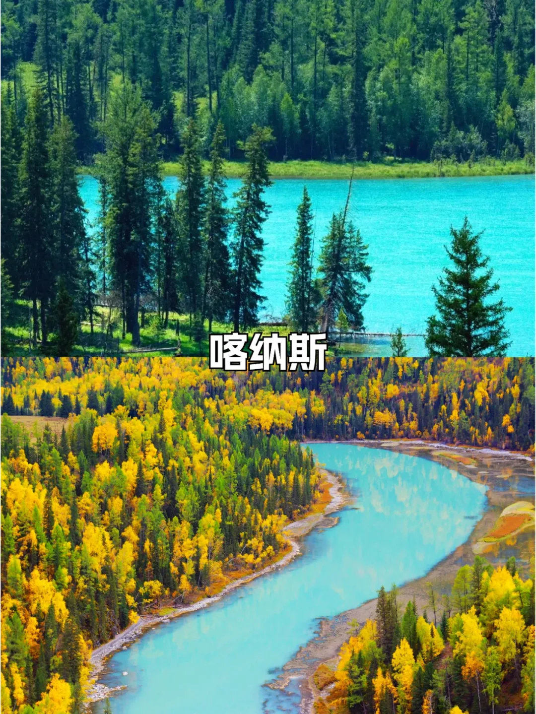 94fd5eb343b92f21d964604a81ab72ac-sz_4318185