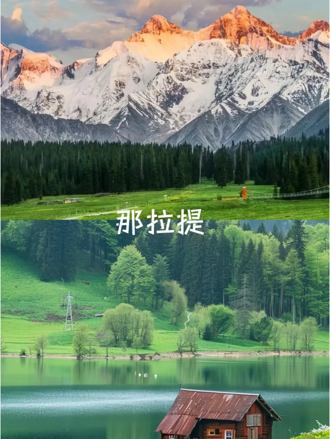 95ed7dd8f74b5090b341e7d6560b7f65-sz_3019656