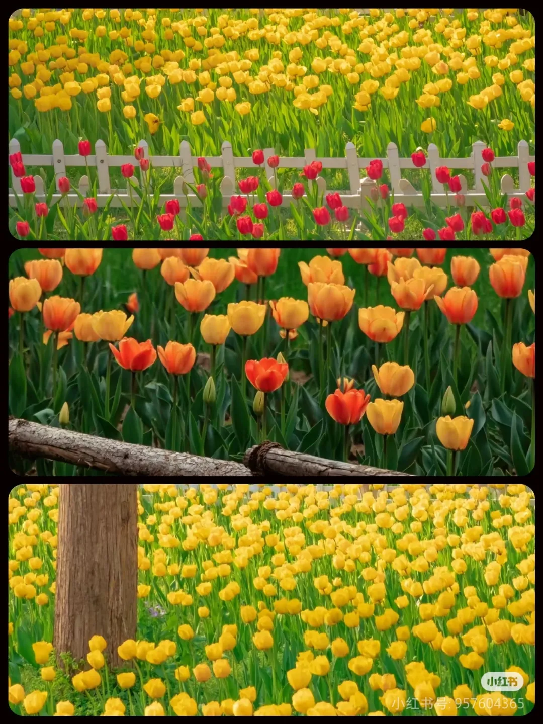 9b16f754e2193804e0713e8c2a5127be-sz_1667970