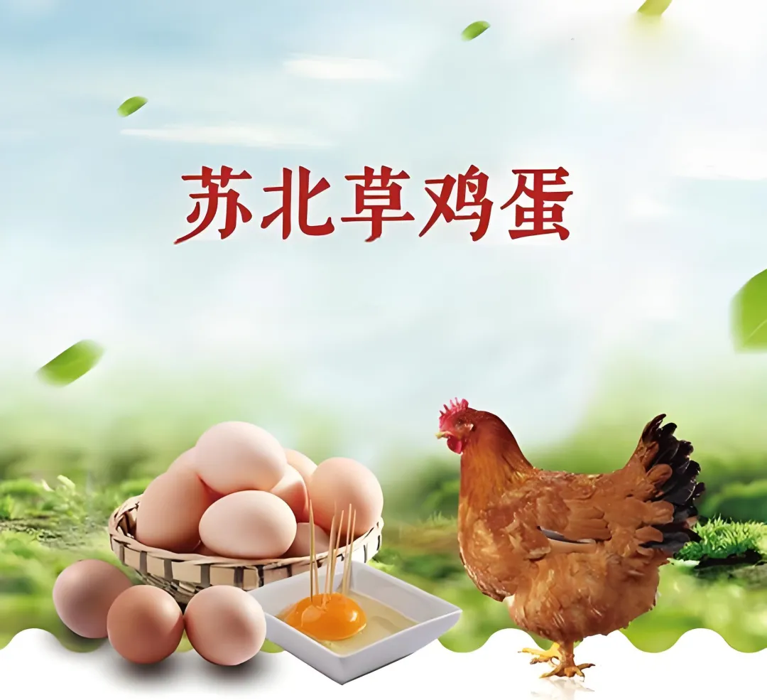 9e6fd50eabe443b86e14142f28d628d2-sz_3385845-1 9e6fd50eabe443b86e14142f28d628d2-sz_3385845-1
