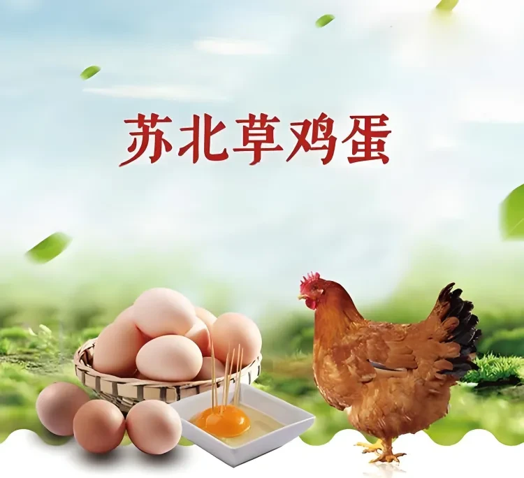 9e6fd50eabe443b86e14142f28d628d2-sz_3385845