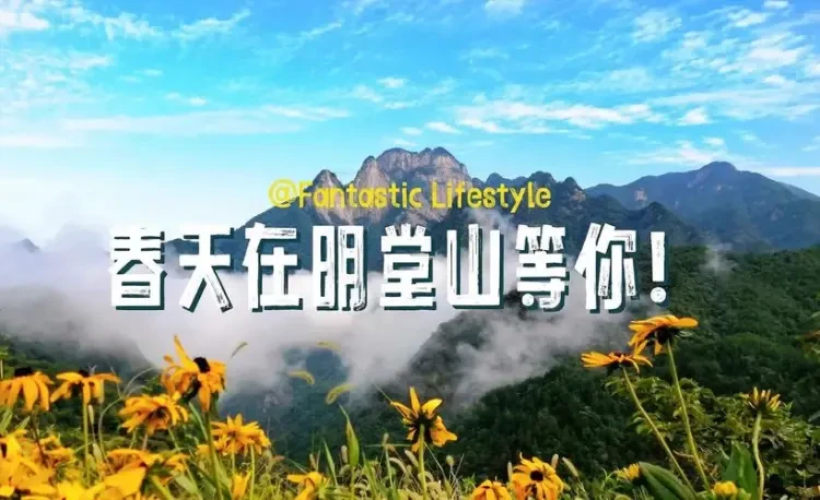 a2d5c8d38c15c40d3bcf5170ce338908-sz_75925-1 a2d5c8d38c15c40d3bcf5170ce338908-sz_75925-1