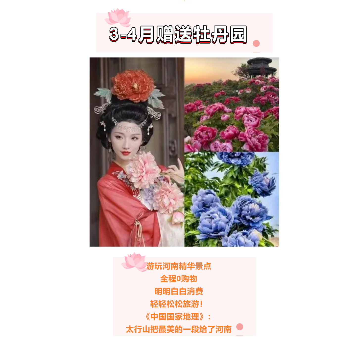 a2d6c5e9b0afc4b370116ea350c89939