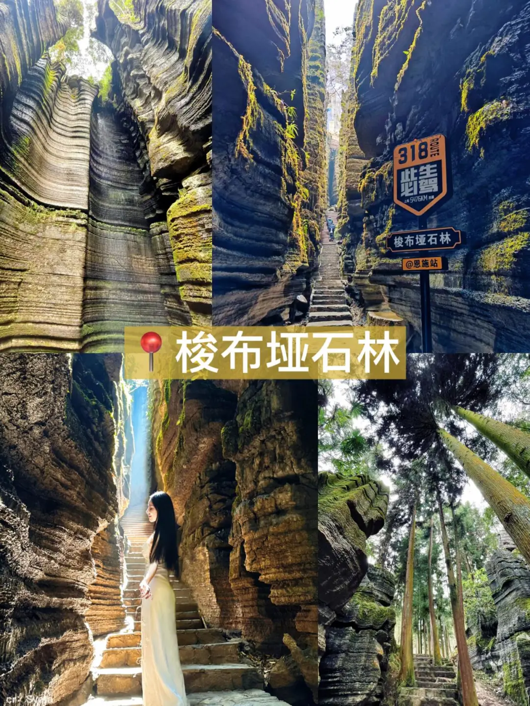 b35ed31c894489542347fd9c178547cc-sz_522891