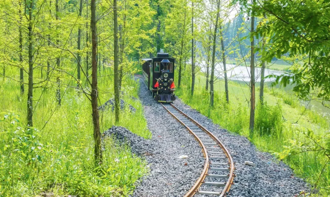 c3d676885643c0ef6f0360b6d06c62a8-sz_323084-1