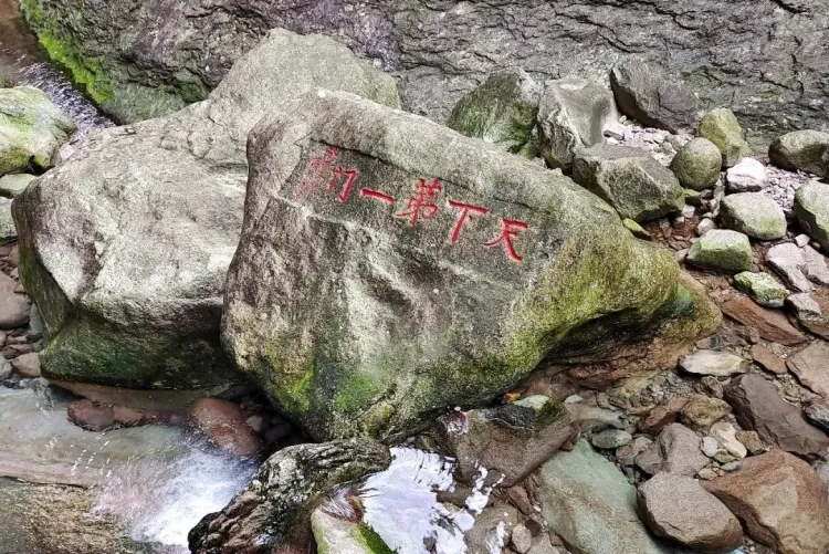 c8c6f56772879ec93c01ed2352be2dd4-sz_317166 c8c6f56772879ec93c01ed2352be2dd4-sz_317166