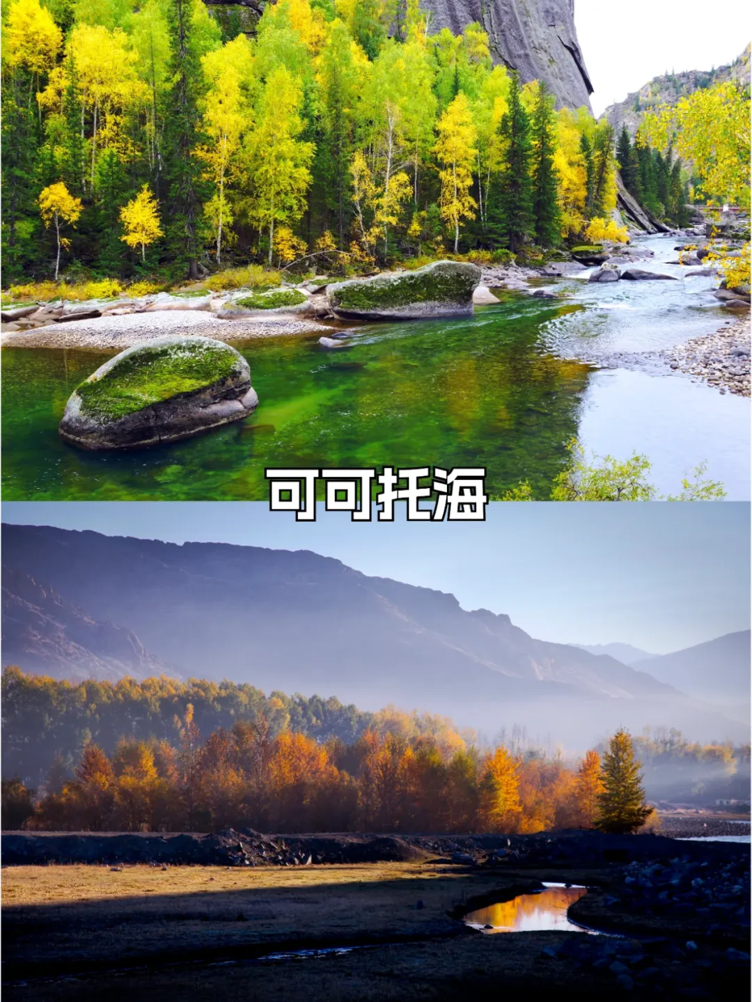 d265b6f73889d330b421e68e50f15514-sz_3641150