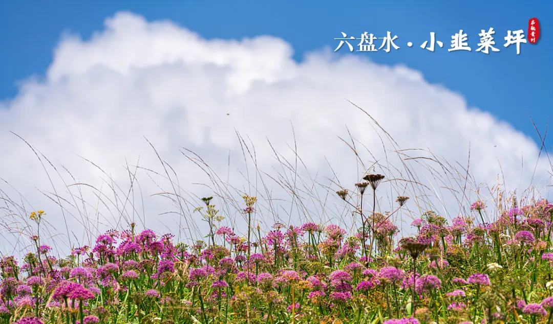 d4f9c77ef8d61b67f368ec6e78078d17-sz_1464257-1 d4f9c77ef8d61b67f368ec6e78078d17-sz_1464257-1