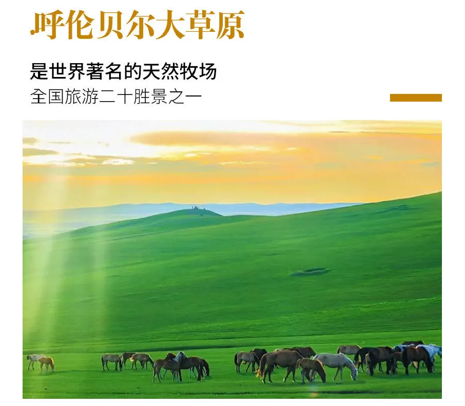 d6ecfe96123f89509e158ed8484532ae-sz_828711