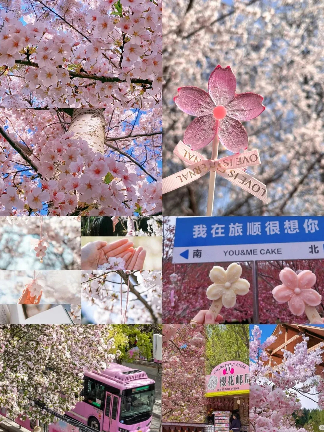 d7370660cf442b31080d5829bb030c4f-sz_575727 d7370660cf442b31080d5829bb030c4f-sz_575727