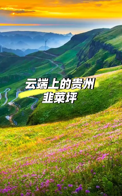 dcff6f507654472a19d53555e728e521-sz_811356-1 dcff6f507654472a19d53555e728e521-sz_811356-1