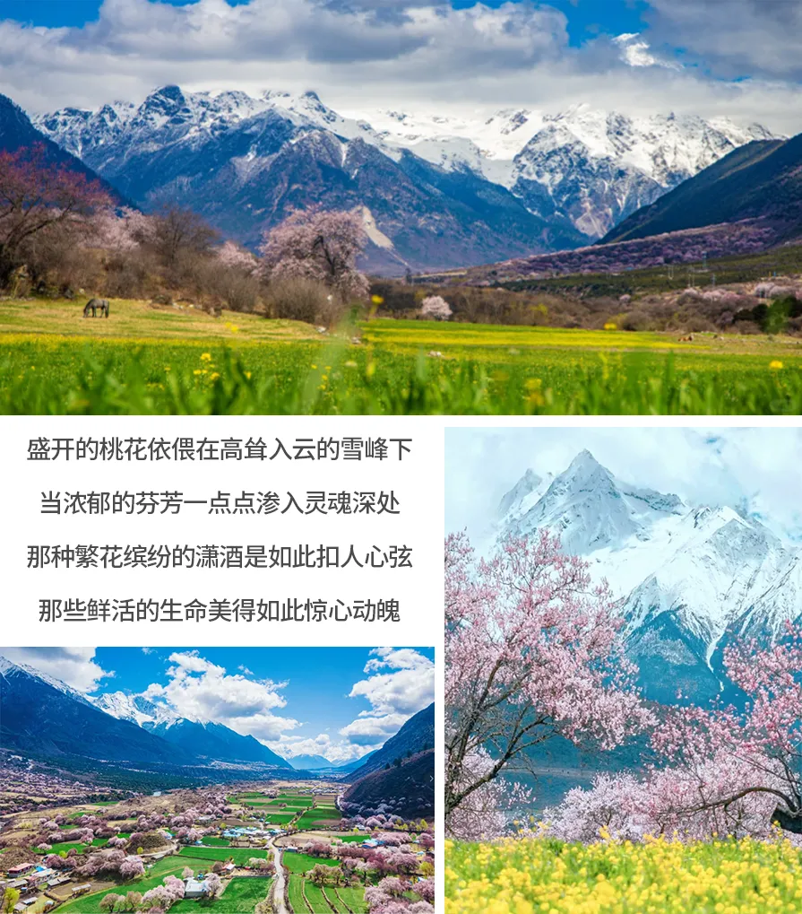 de775992afe7191b53077052d61f14c7-sz_911018 de775992afe7191b53077052d61f14c7-sz_911018