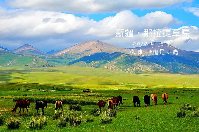 e01c0fb3c3e6a0c5abeef631d52c0ab4-sz_70664 e01c0fb3c3e6a0c5abeef631d52c0ab4-sz_70664