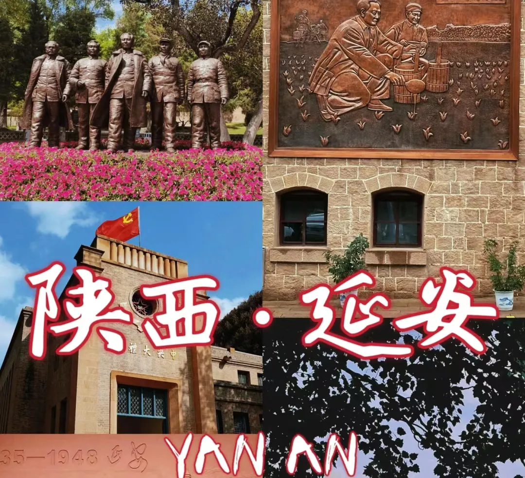 e0bf6564df241c68440f4ca638a82d4d-sz_1236913 e0bf6564df241c68440f4ca638a82d4d-sz_1236913
