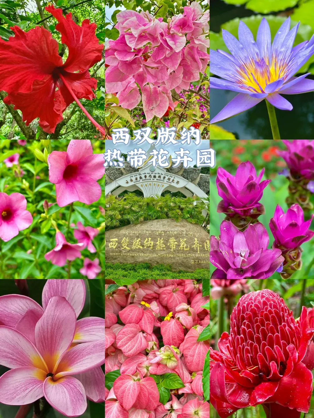 e5ac8862053084d844ca7af2eb9043b0-sz_4628116-1 e5ac8862053084d844ca7af2eb9043b0-sz_4628116-1