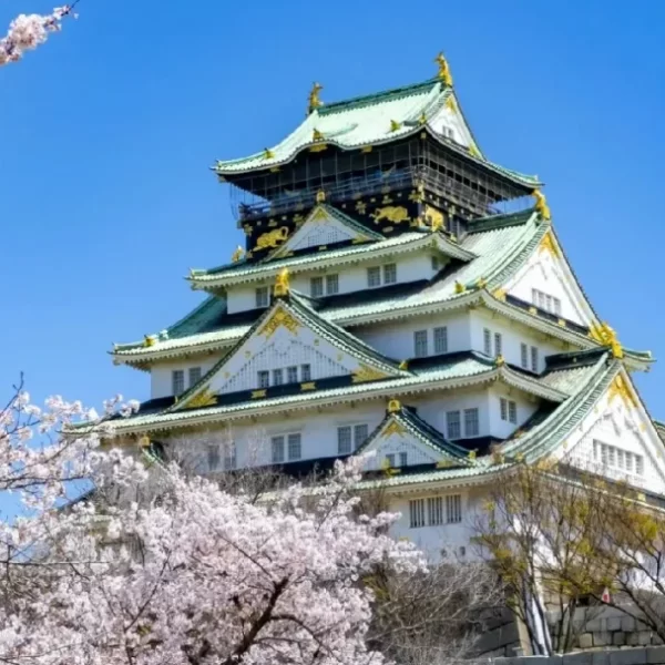4299元起【日本本州】日本双飞6天，东京+大阪+富士山+京都+奈良+镰仓， 国航/吉祥直飞，打卡本州精华景点，全程含8正餐，免费升级一晚温泉酒店