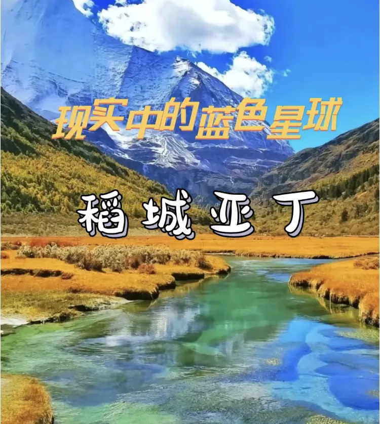 e964761090cc5da2568f397bef834e0d-sz_1254880