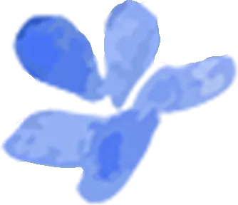 ef08e6ddde53526fd625fdf273e97bfd-sz_71558-1