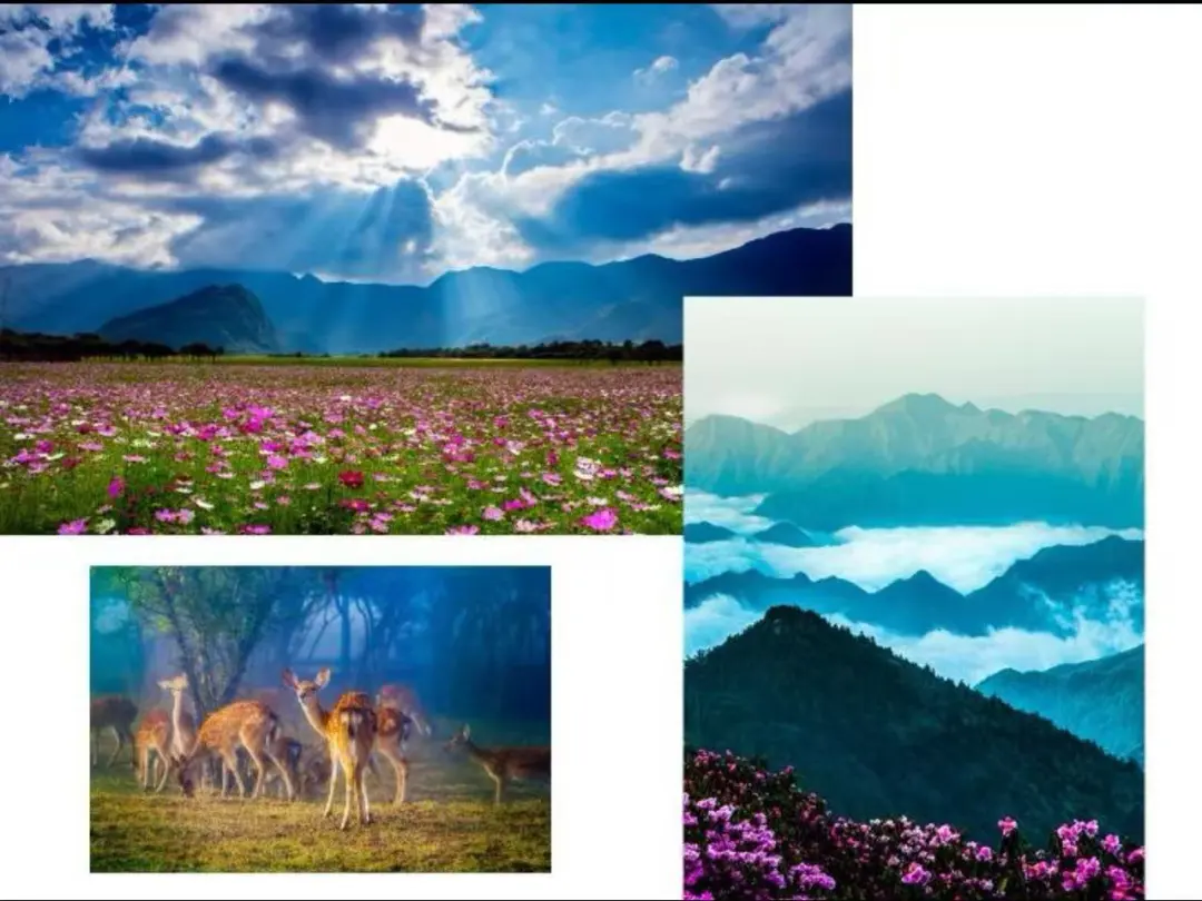 04f00654304406eb708c542ed070482d-sz_138299-1 04f00654304406eb708c542ed070482d-sz_138299-1