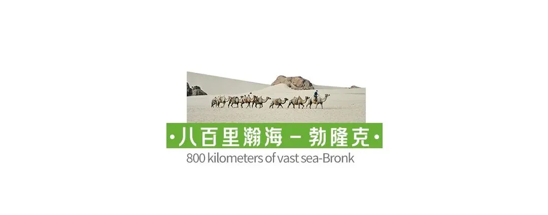 08a0efabb6555c6ef577e6d47c868ece-sz_21888 08a0efabb6555c6ef577e6d47c868ece-sz_21888