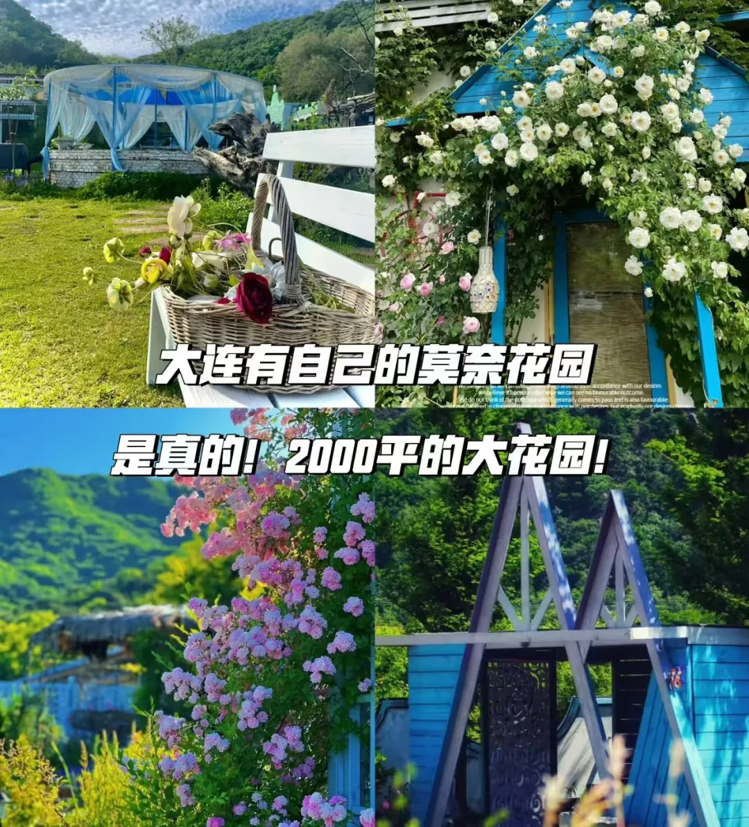 156a8173294b8f92b3e46d43cd1dc29c-sz_1745173 156a8173294b8f92b3e46d43cd1dc29c-sz_1745173