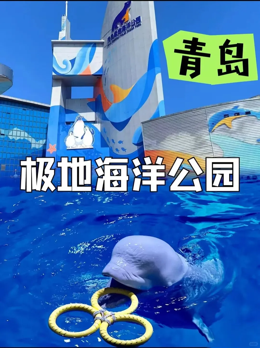 15d9c3a9ae5974652e086a4ddb380c1a-sz_311246 15d9c3a9ae5974652e086a4ddb380c1a-sz_311246