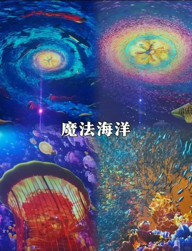 1670212561340e96c8ce97e1e454a69b-sz_220657 1670212561340e96c8ce97e1e454a69b-sz_220657