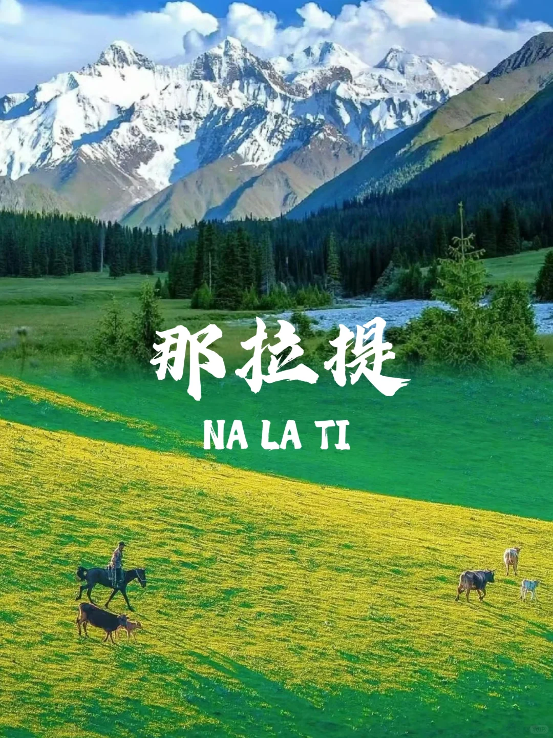 1740711636_1328418770 1740711636_1328418770
