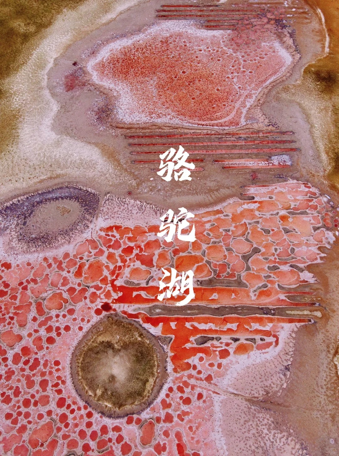 1748239336320_44z5tNCz 1748239336320_44z5tNCz