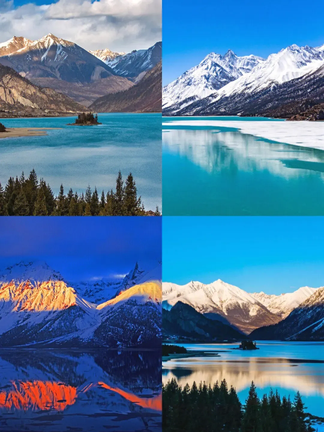 186a5756a5d94caa2d068e3377b80cdc-sz_3013886 186a5756a5d94caa2d068e3377b80cdc-sz_3013886
