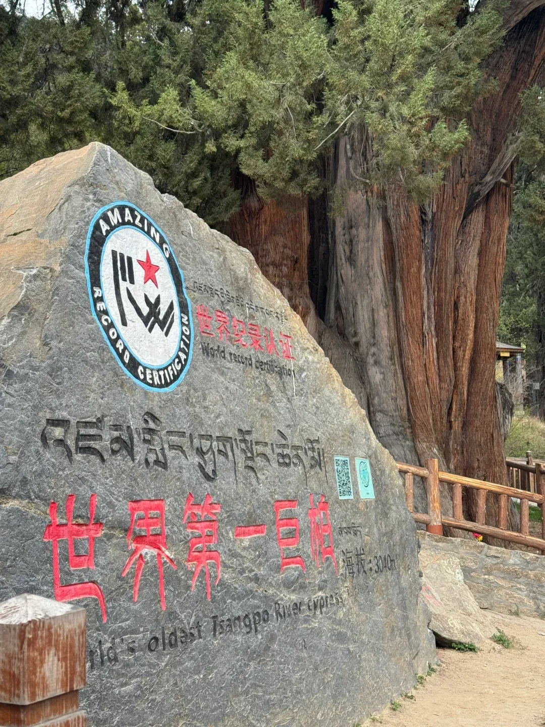 1c8ea1967ab9ca71ebcc483cdeef5f6b-sz_4215123